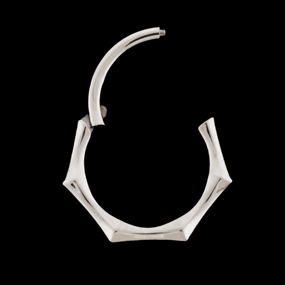 Maris- Titanium Hinged Ring | Hinged Segment Ring | Wiccan Center