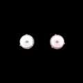 16G/18G Dara - Internally Threaded | Body Jewelry | Wiccan Center