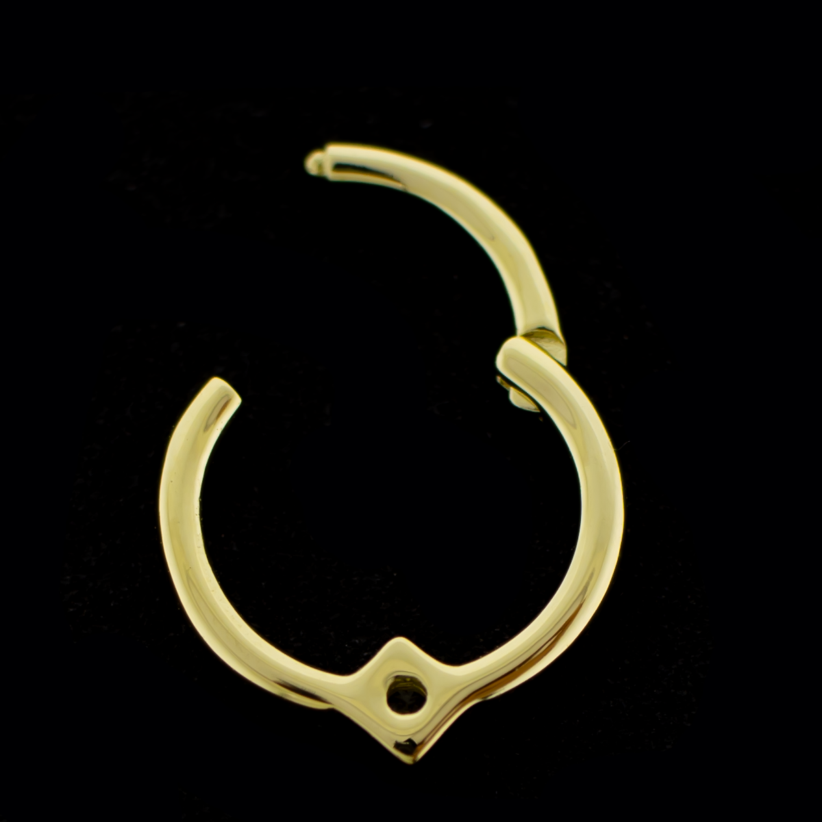 Vera- 14kt Gold Diamond Accent Hinged Ring | Body Jewelry | Wiccan Center