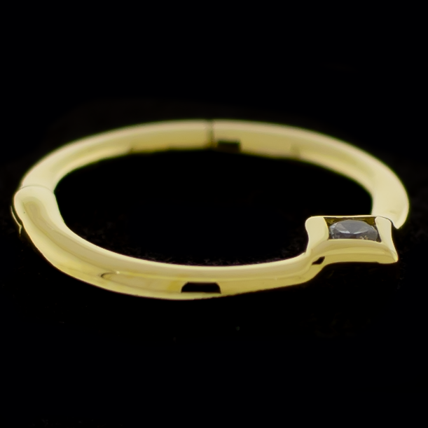 Vera- 14kt Gold Diamond Accent Hinged Ring | Body Jewelry | Wiccan Center