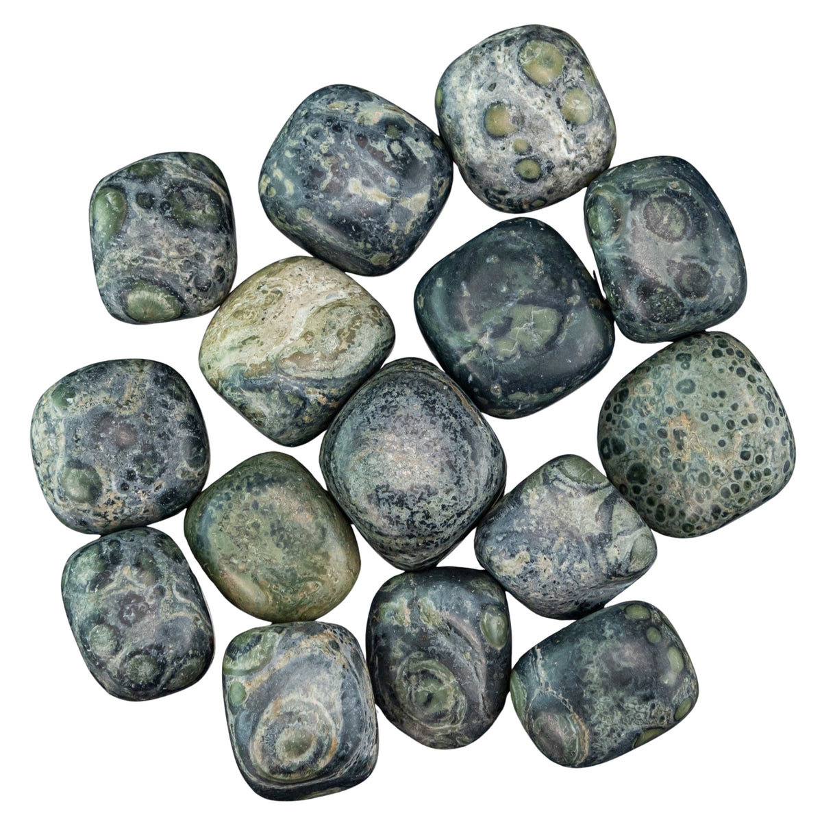 Kambaba Jasper Tumbled