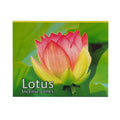 Kamini Lotus Incense Cones | Incense | Wiccan Center
