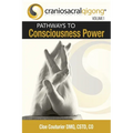 CRANIOSACRALQIGONG Volume 1: Pathways To Consciousness Power - Paperback | Books | Wiccan Center