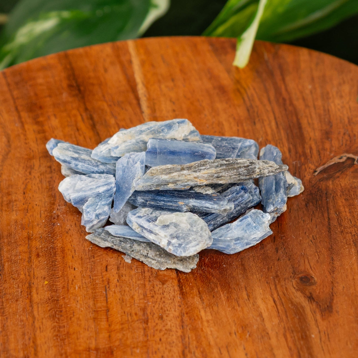 Blue Kyanite Blade | | Wiccan Center