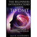 The Beginners Introductory Guide To DMT - Psychedelics And The Dimethyltryptamine Molecule - Paperback