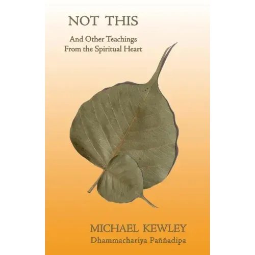 Not This - Paperback