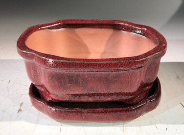 Parisian Red Ceramic Bonsai Pot -RectangleWith Humidity Drip Tray, 6" x