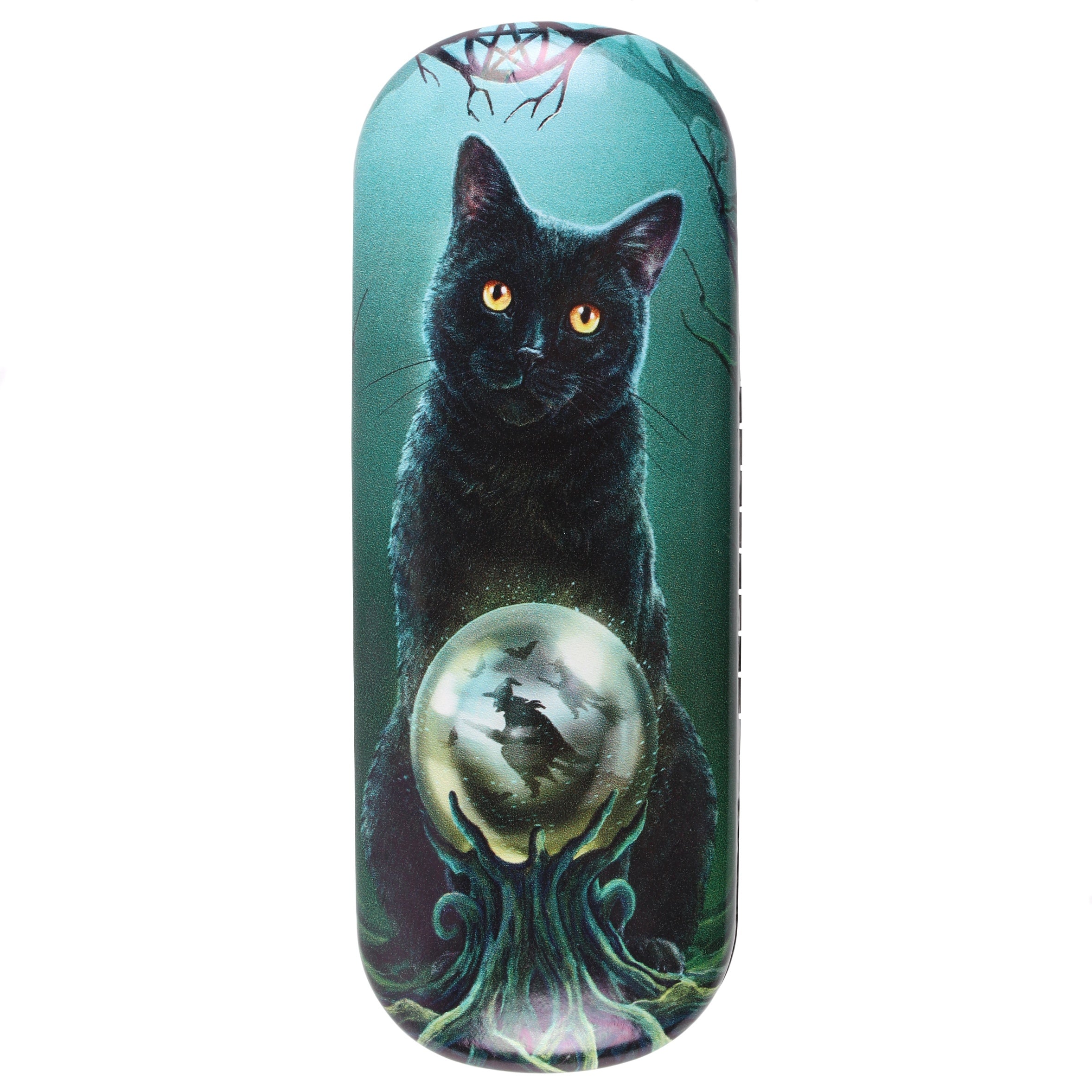 Rise of the Witches (Black Cat) Eyeglass Case by Lisa Parker | Eyeglass Cases | Wiccan Center