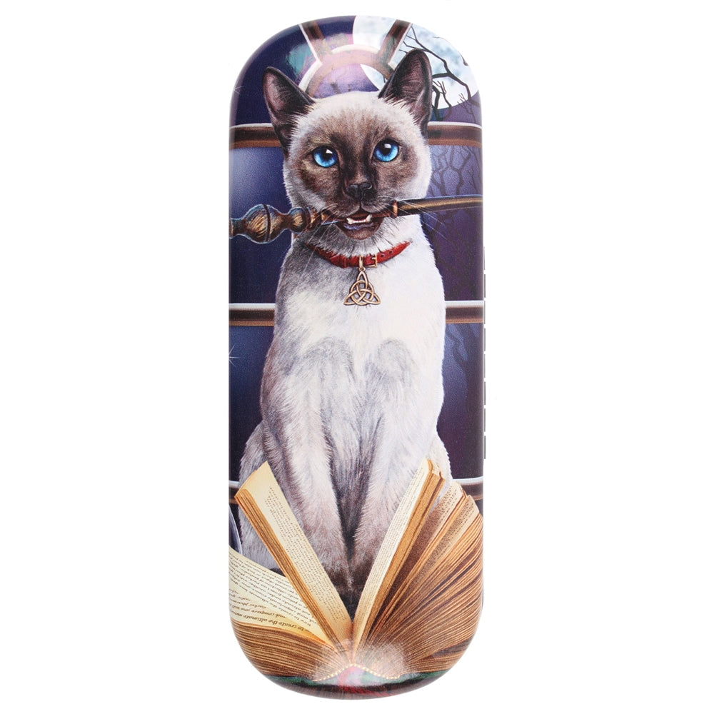 Hocus Pocus (Cat) Eyeglass Case by Lisa Parker | Eyeglass Cases | Wiccan Center