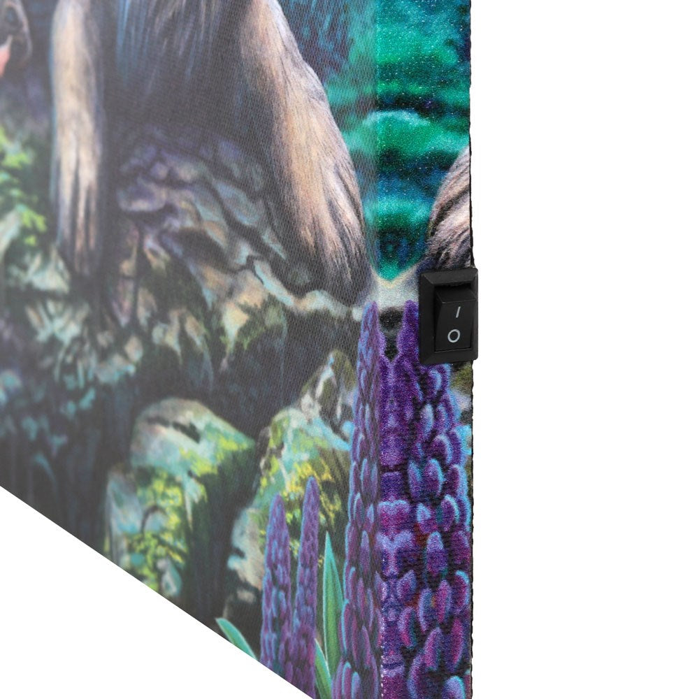 Fairy Stories Light Up Canvas Print by Lisa Parker | Canvas Art Prints - Lighted | Wiccan Center