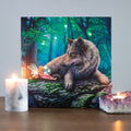 Fairy Stories Light Up Canvas Print by Lisa Parker | Canvas Art Prints - Lighted | Wiccan Center