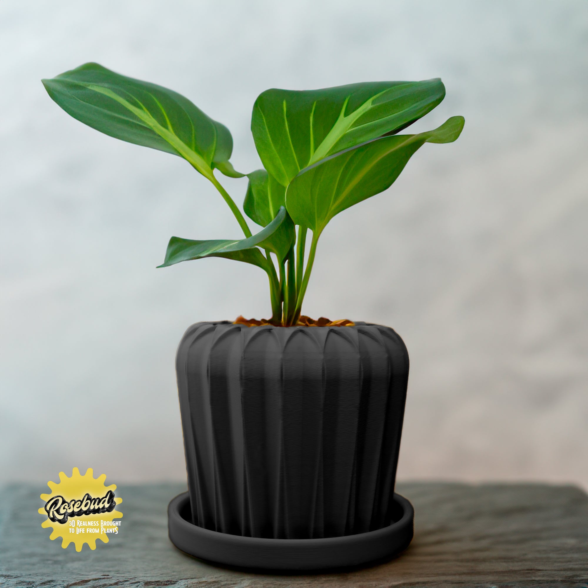 Lunar Bloom Plant Pot | Pots & Planters | Wiccan Center