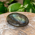 Labradorite Large Palm Stone | Religious Items | Wiccan Center