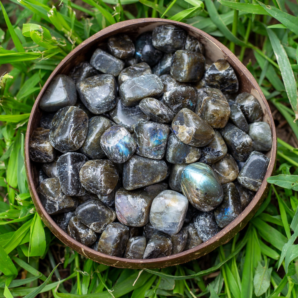 Labradorite Tumbled 1lb | Religious Items | Wiccan Center