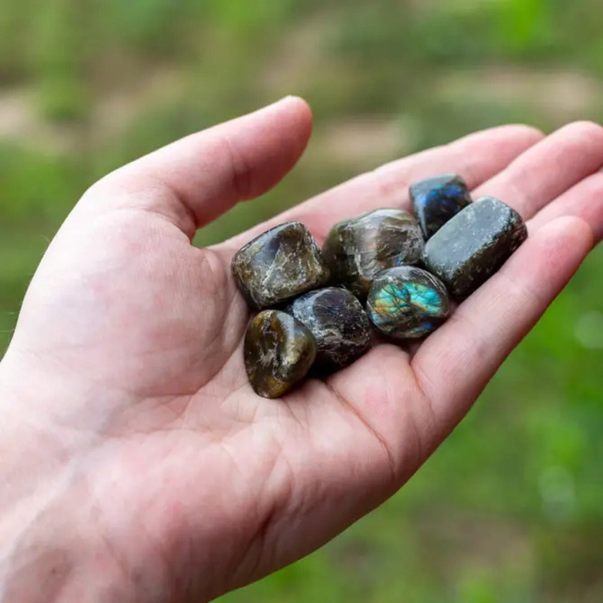 Labradorite Tumbled 1lb | Religious Items | Wiccan Center