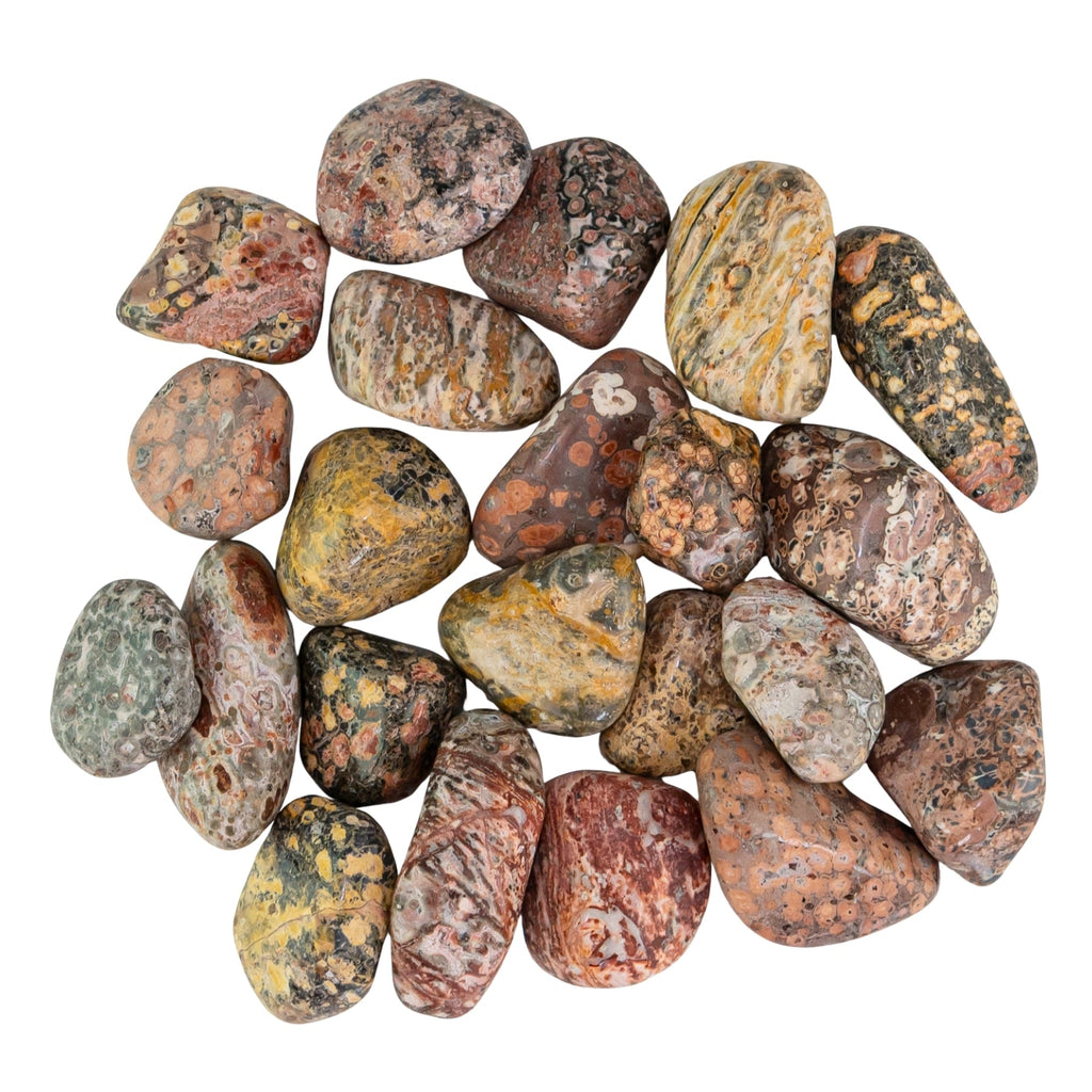 Leopardskin Jasper Tumbled 1lb | Religious Items | Wiccan Center