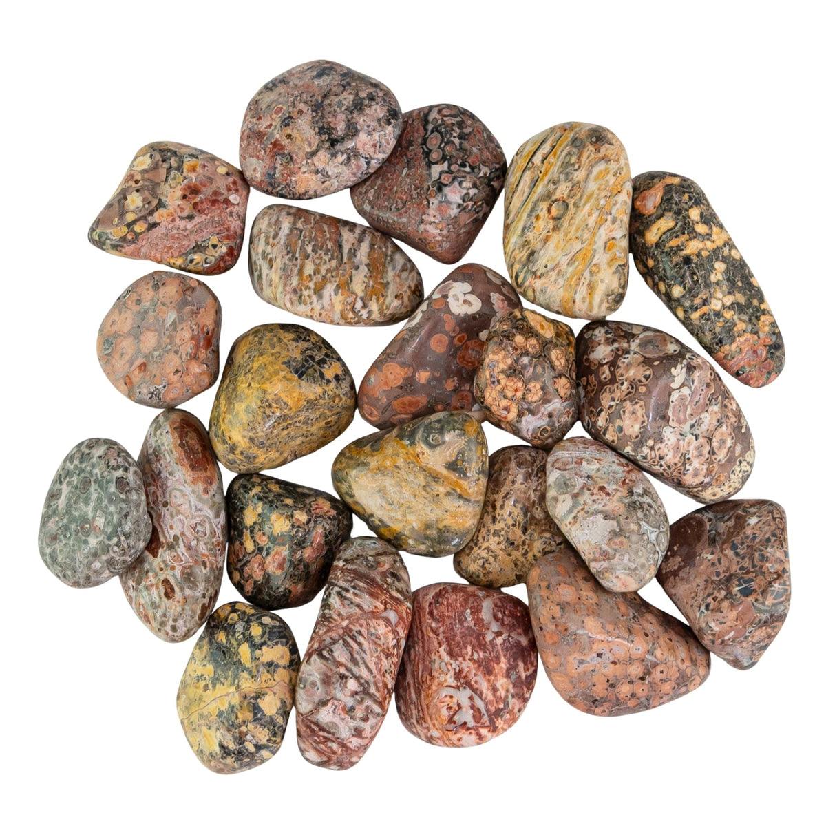 Leopardskin Jasper Tumbled 1lb | Religious Items | Wiccan Center