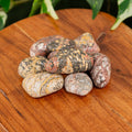 Leopardskin Jasper Tumbled 1lb | Religious Items | Wiccan Center