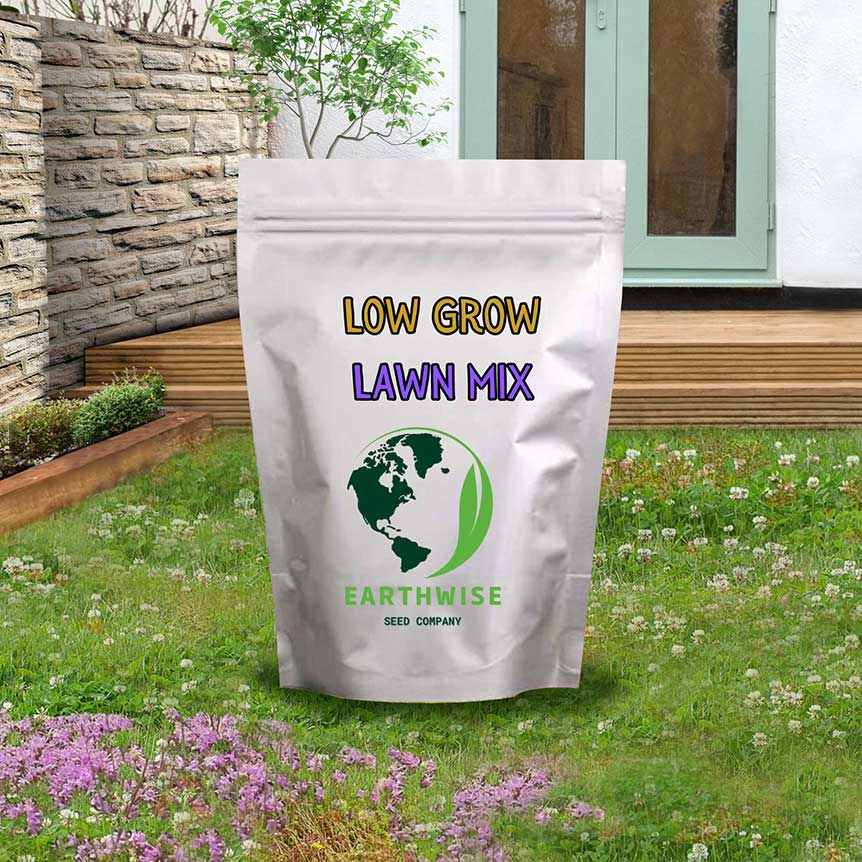 Low Grow™ No-Mow Lawn Mix – Clover & Low-Maintenance Grass Alternative | | Wiccan Center