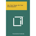 On The Trail Of The Poltergeist - Paperback | Books | Wiccan Center