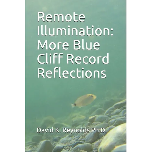 Remote Illumination: More Blue Cliff Record Reflections - Paperback | Books | Wiccan Center