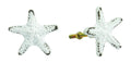 Starfish Dresser Knob | Hooks & Hardware | Wiccan Center