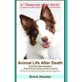 Animal Life After Death & Animal Reincarnation: Pet Loss Answers for all your heart's Questions! - Paperback