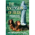 The Ascension of Heidi: A Longhaired Dachshund - Paperback | Books | Wiccan Center