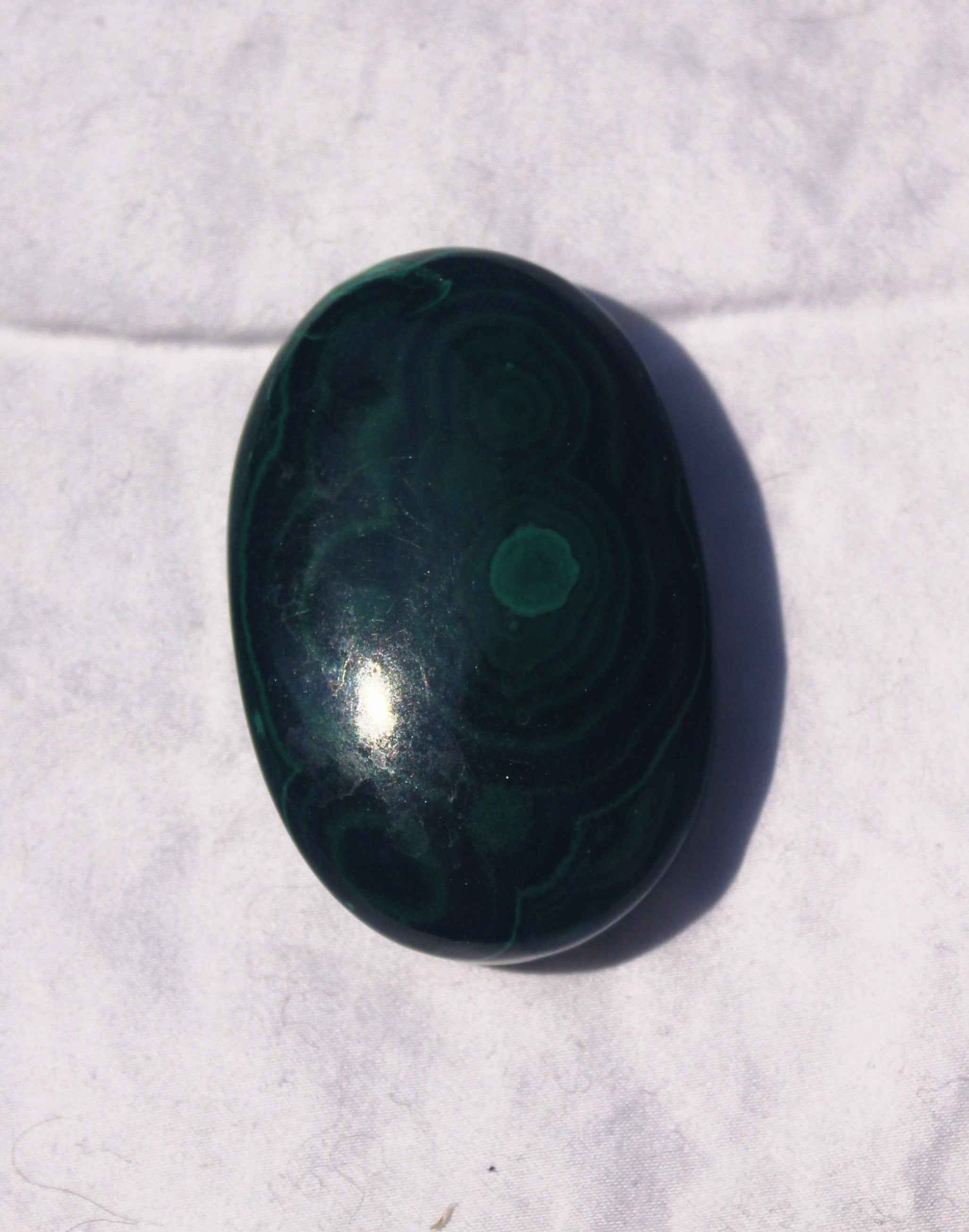 Malachite Palm | | Wiccan Center
