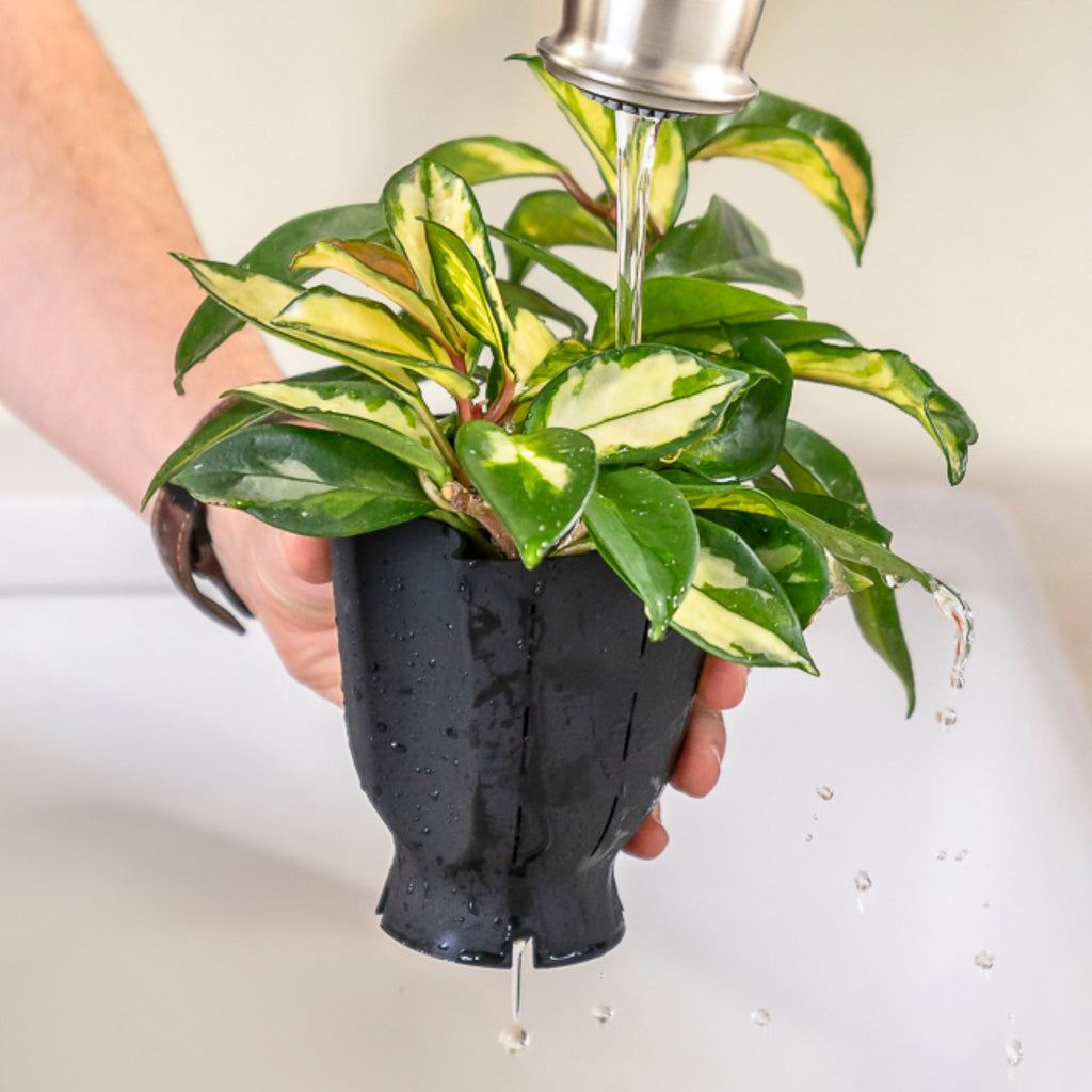 Ceramic Plant Pot with Rubber Liner - Forest Green | Indoor Plant Pot | Wiccan Center