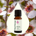 Plant Therapy Manuka Essential Oil 10 Ml