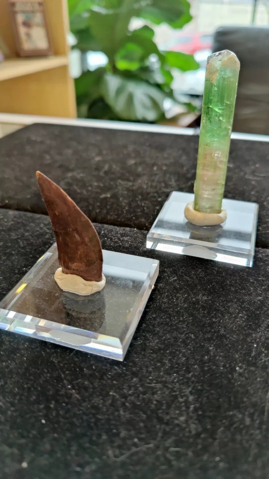 Geo-Tac Mineral and Fossil Mounting Display Putty | Accessories | Wiccan Center