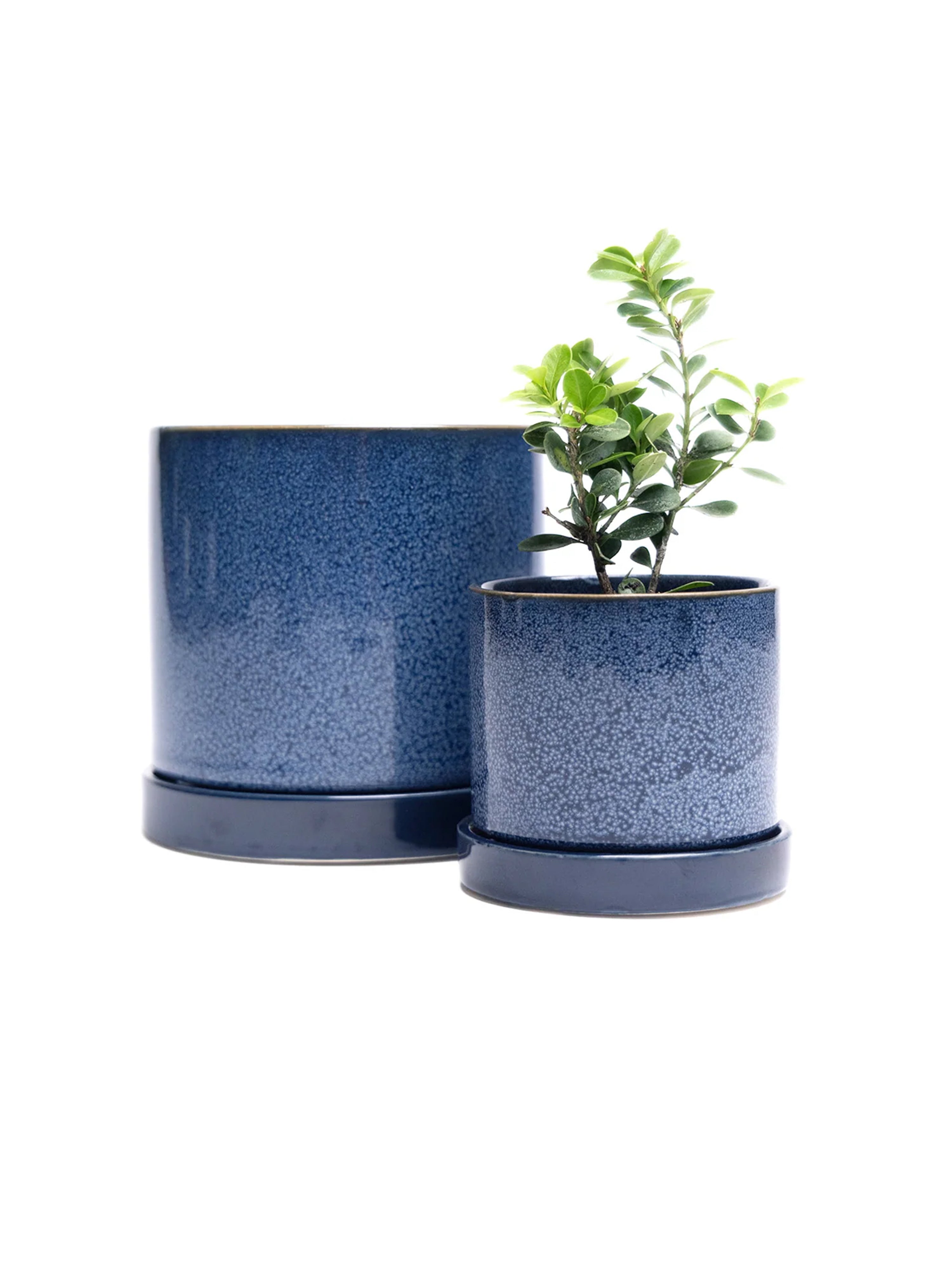 Cosmos Blue 3" Ceramic Plant Pot and Saucer | plant pot | Wiccan Center