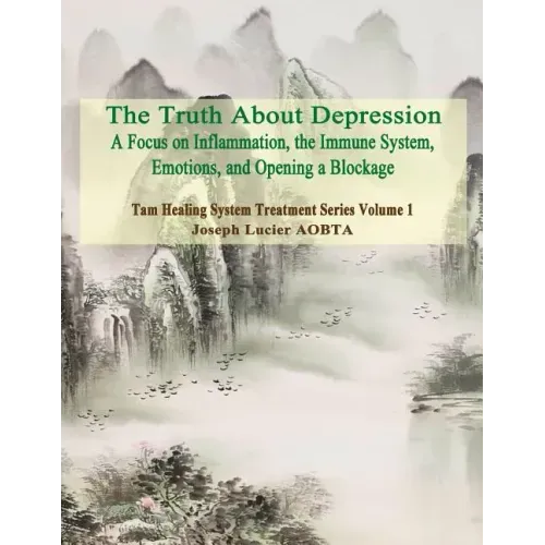 The Truth About Depression: Return to Balance - Focus on Inflammation, the Immune System and Opening a Blockage - Paperback