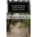 Brigid Bishop's Little Book of Magick Spells: 21st Century Magick - Paperback | Books | Wiccan Center