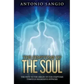 The Symptoms of the Soul: The Path to the Origin of Our Symptoms Through Regressive Hypnosis - Paperback