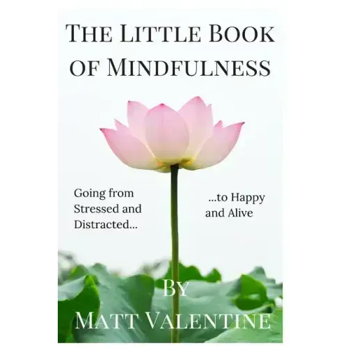 The Little Book of Mindfulness - Paperback