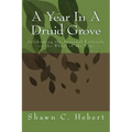 A Year In A Druid Grove: Celebrating the Seasonal Festivals on the Wheel of the Year - Paperback | Books | Wiccan Center