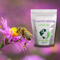 Pollinator Paradise Native Mix | | Wiccan Center