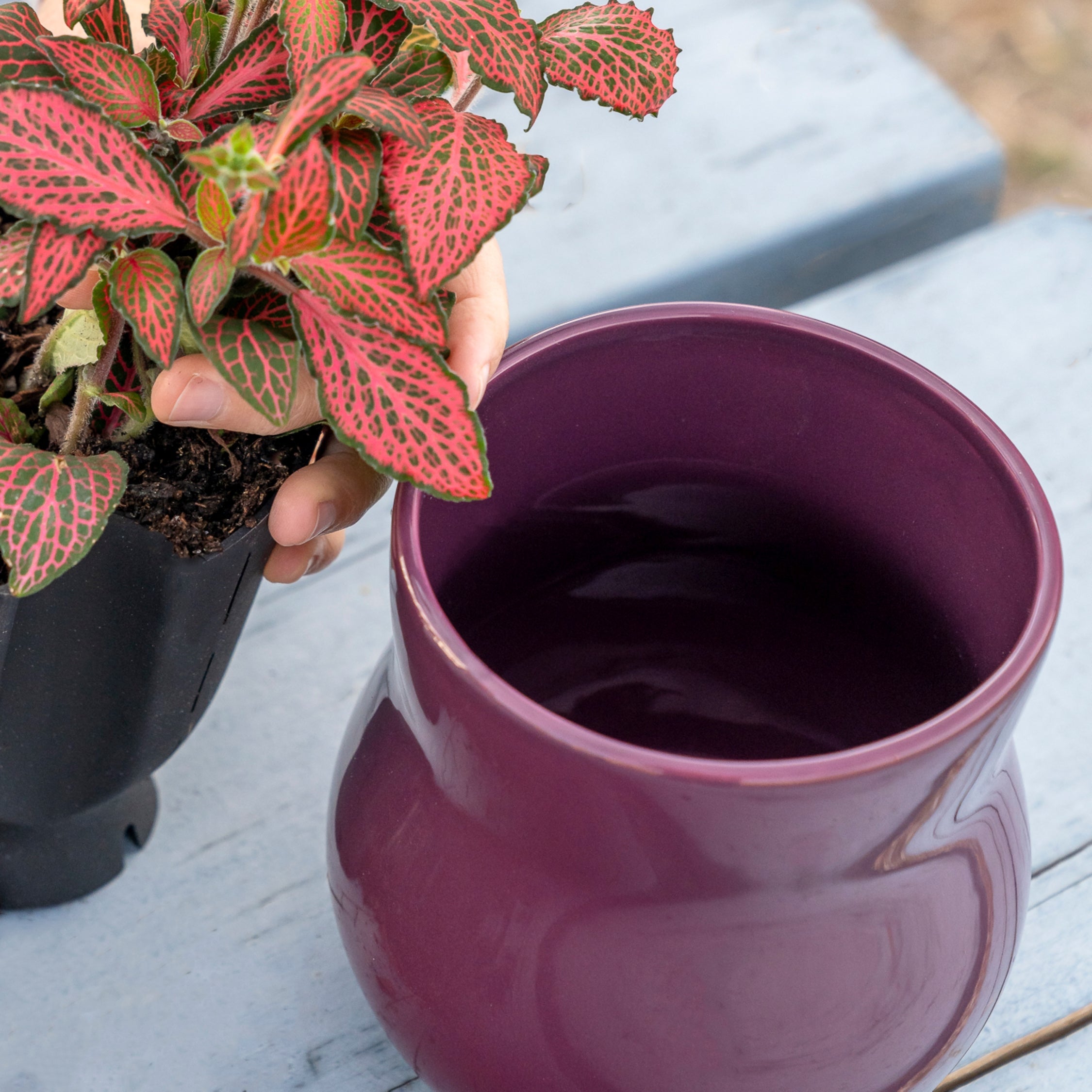 Ceramic Plant Pot with Rubber Liner - Violet Purple | Indoor Plant Pot | Wiccan Center