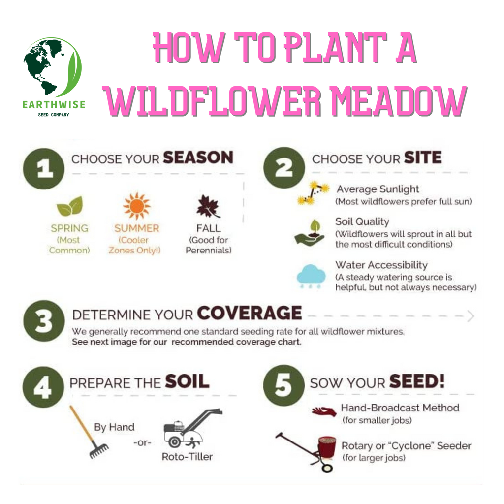 Lone Star Native Wildflower Mix - Bold Blooms. True Texas Roots. | | Wiccan Center