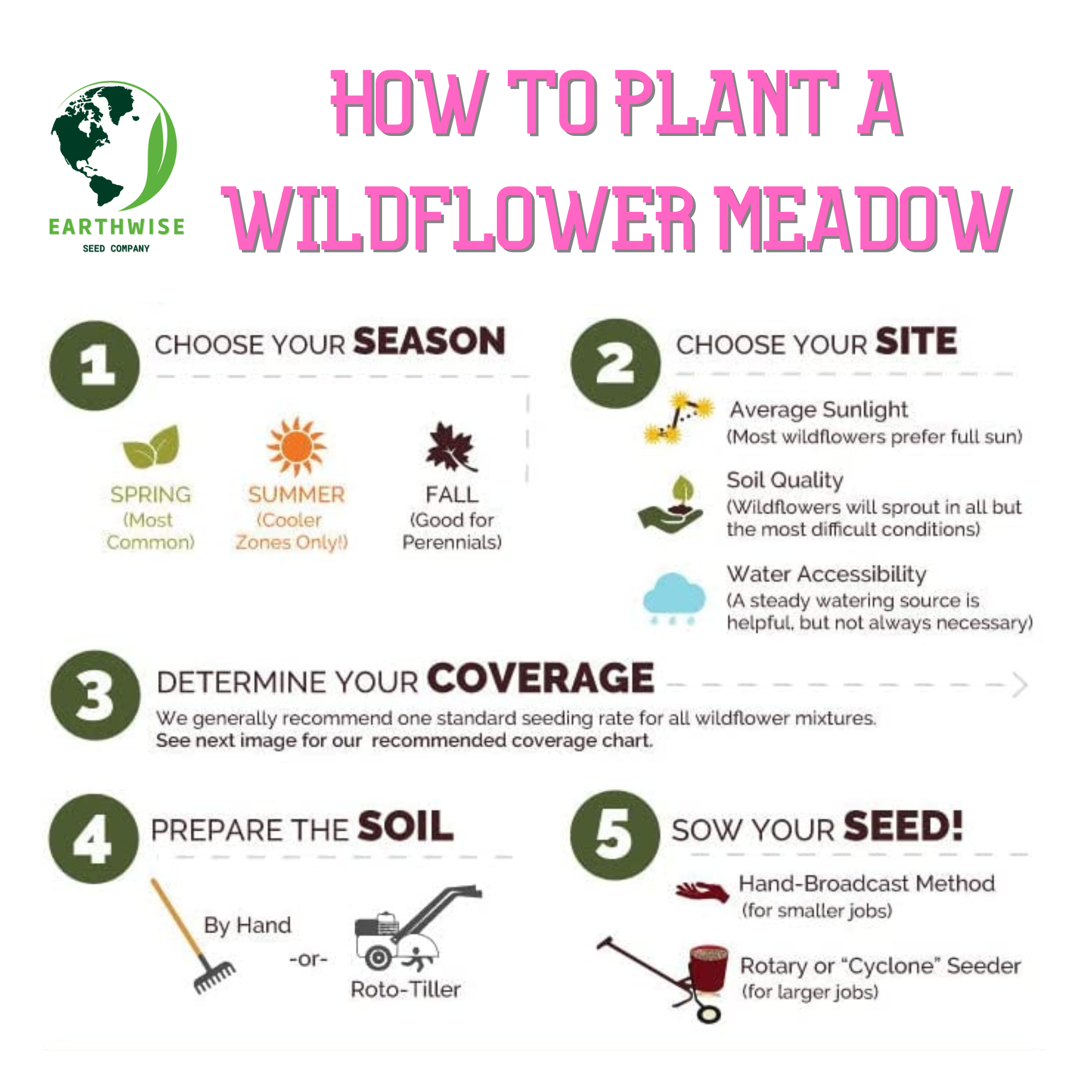 Lone Star Native Wildflower Mix - Bold Blooms. True Texas Roots. | | Wiccan Center