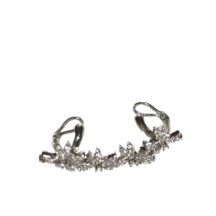 Women's Sparkling Full Rhinestone Flower Bone Niche Design High Class Earrings