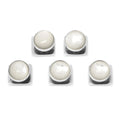 Silver and Mother of Pearl 5-Studs | Studs | Wiccan Center