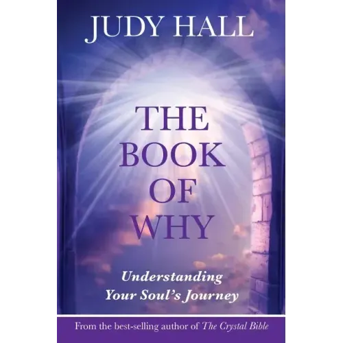 The Book of Why - Paperback