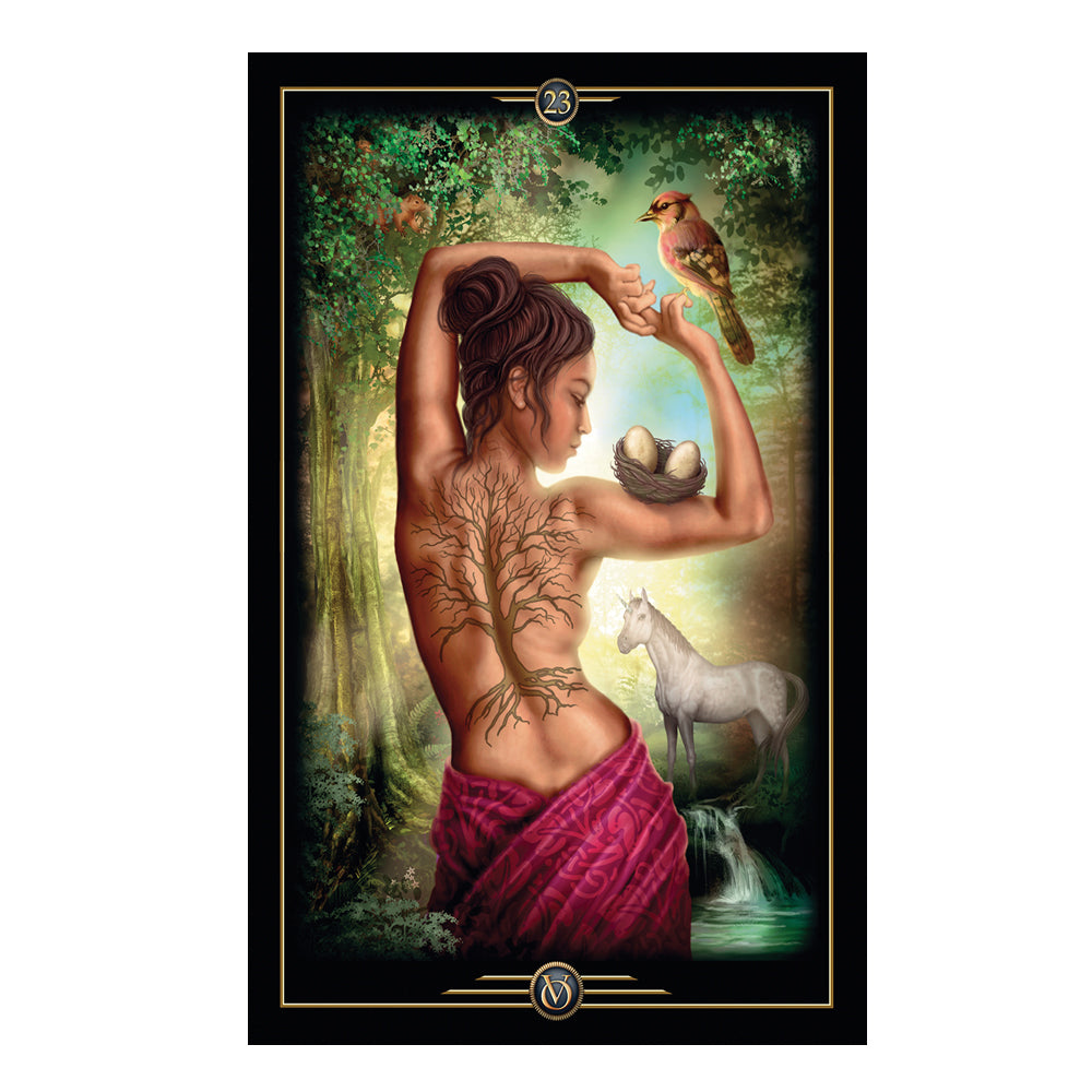 Oracle of Visions