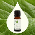 Plant Therapy Oregano Essential Oil 10 Ml