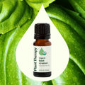 Planet Therapy Organic Basil Linalool Essential Oil - 10 Ml