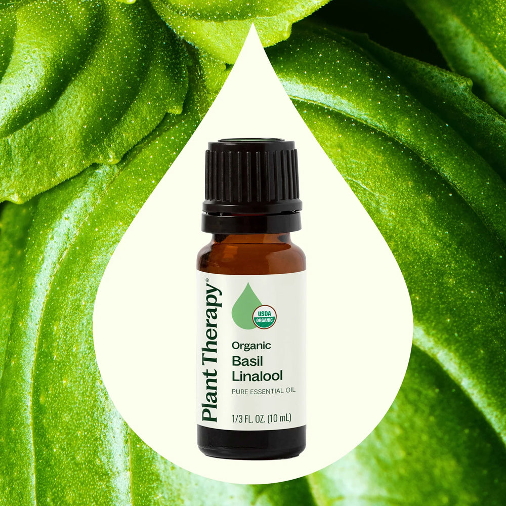 Planet Therapy Organic Basil Linalool Essential Oil - 10 Ml