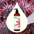 Plant Therapy Organic Castor Oil 16 oz